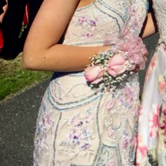 Ellie Wilde Size 2 Gorgeous Beaded Prom Gown - Picture 3 of 12